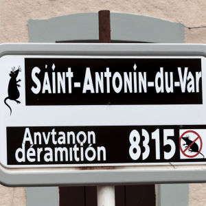Dératisation Saint-Antonin-du-Var 83154